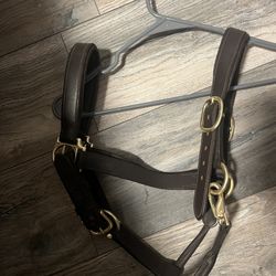 Horse Halters!