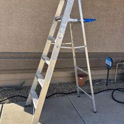 6ft Ladder 