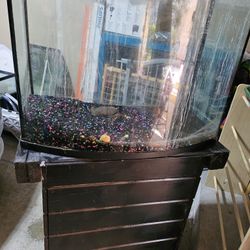 Bow Front Tank And Stand 