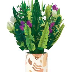 Houseplant Bouquet - Pop-up Flowers