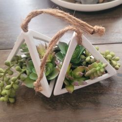 Hanging Succulents