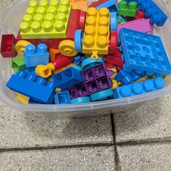 Duplo Blocks