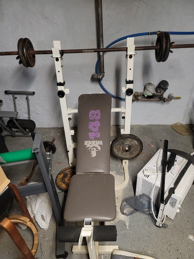 Exercise Equipment Bench and Weights Plus Curl Bar