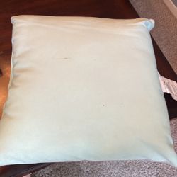 Outdoors Pillows