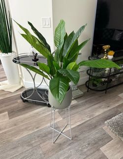 Pretty artificial plant with planter! Brand New