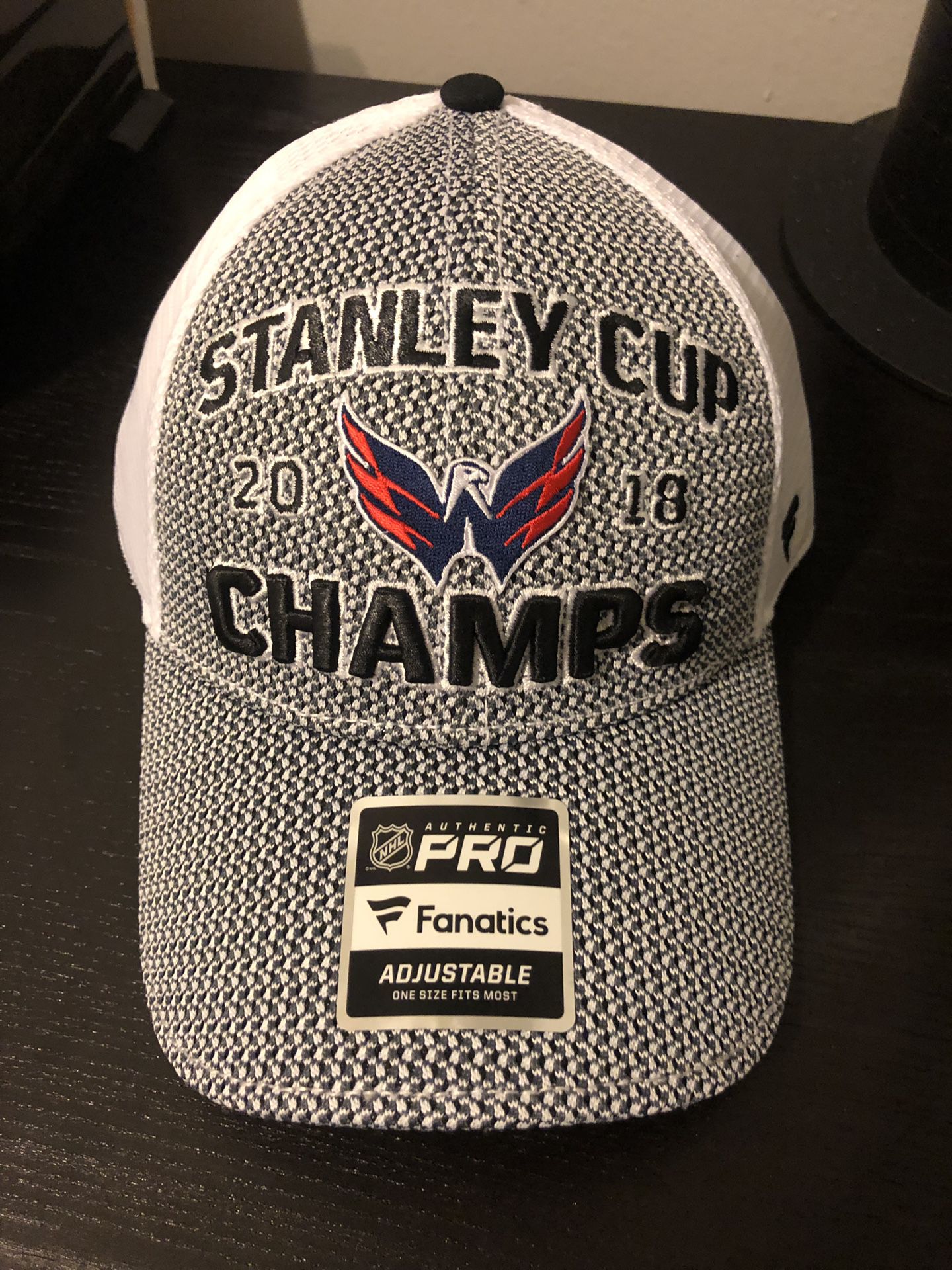 2018 Stanley cup champions hat