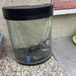 Fish Tank