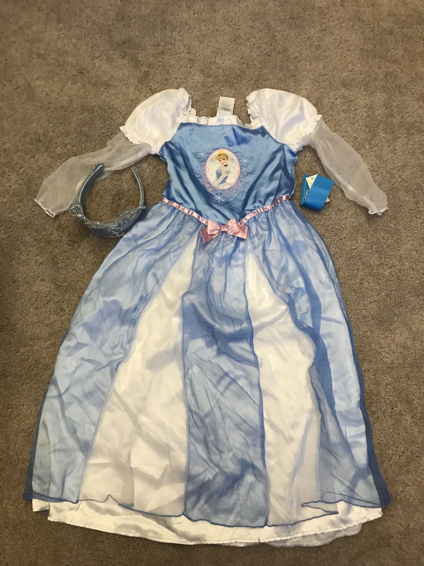 Cinderella Costume