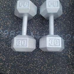 30lbs Dumbells Weights