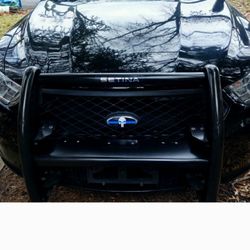 Punisher Blue Line Overlay Decal NEW