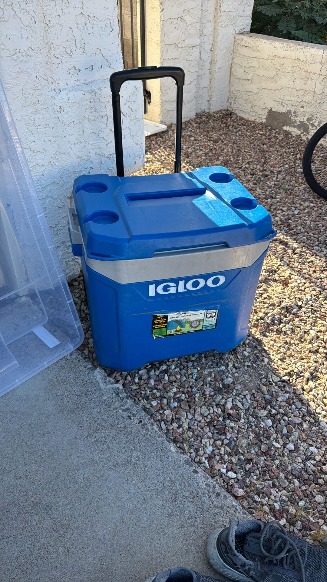 Igloo Cooler