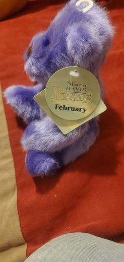 Stars Of David Bears