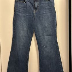 Banana Republic Slim Flare Petite 31/12