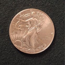 2013 Silver Eagle 