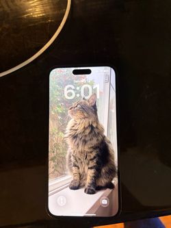 iPhone 14 Pro Max 256g unlocked
