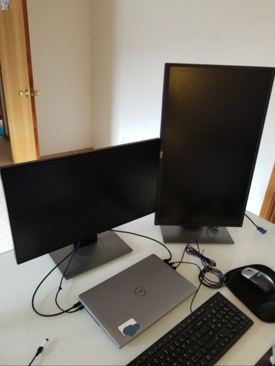 Two Dell Montiors