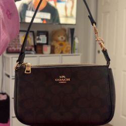 coach bag, comes with charm