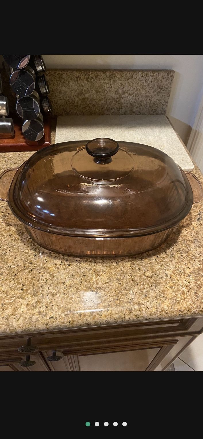 Vision Roaster Glass With Lid
