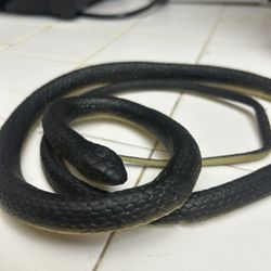 Rubber Toy Snake 