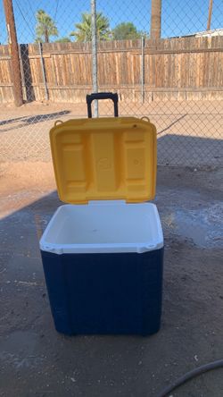 Ice chest
