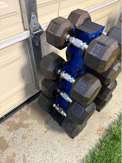 Dumbbell weight with rack (25lbs to 45lb)