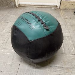 Dynamax Medicine Ball