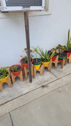 Plants and Pots
