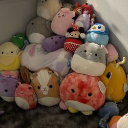 Mystery Bags (full Of Squishmallows)