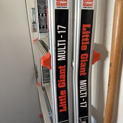 Little Giant Multi 17 Weight Cap 300lbs 