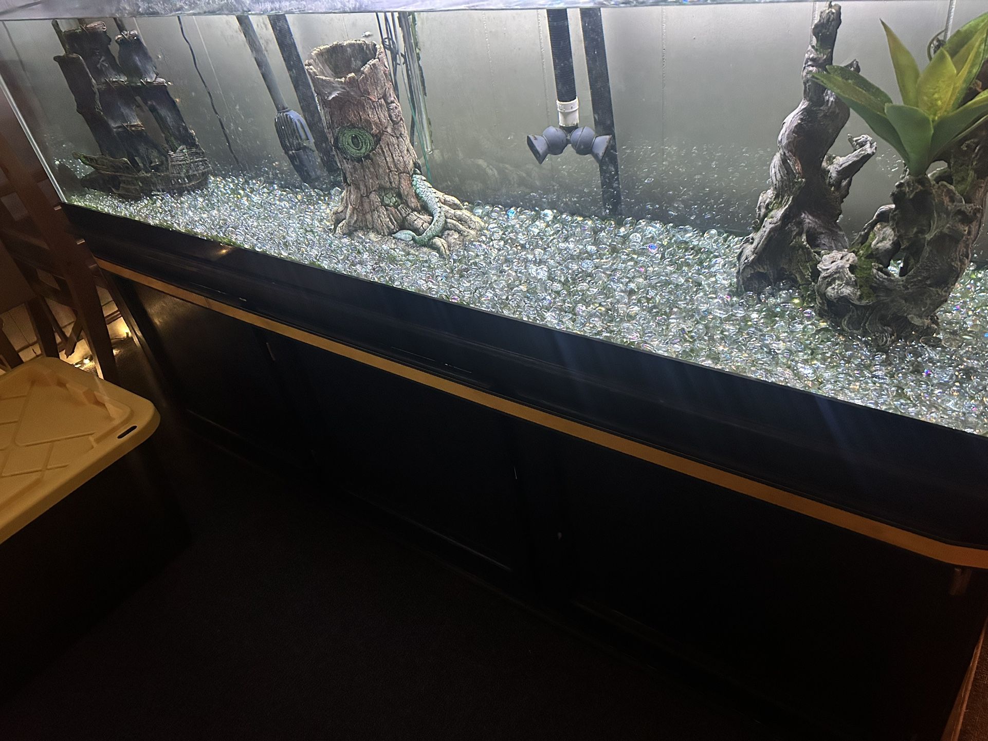 Fish Tank 150 Gallon W/ Fish