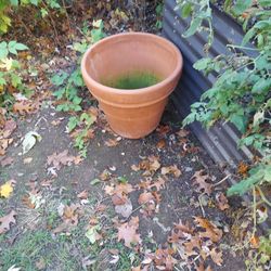 Large Flower Pot