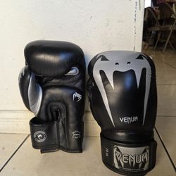 Venum Gian Boxing Gloves 16 Onz
