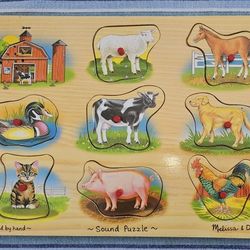 Wooden Puzzle with Sound