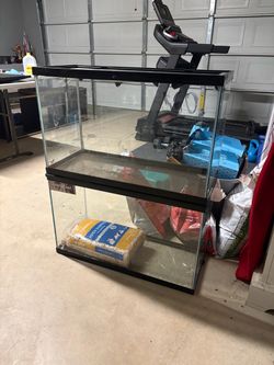 Two 20-Gallon Glass Reptile or Fish Tanks with Lids