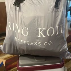 King Koil Deluxe electric blow up bed. Fabulous for adult !