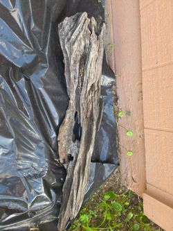 Natural Driftwood Piece
