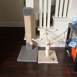 Cat posts - scratching posts