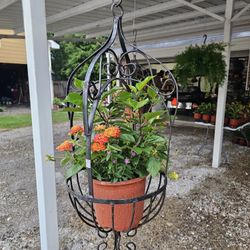 Black Metal Hanging Plant Stand. Yard Art, Plants, Planters. $45 each