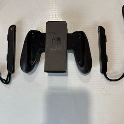 Nintendo Switch JoyCon Accessories