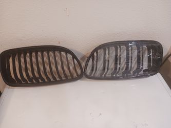 2011 BMW Kidney Grill Inserts 328i