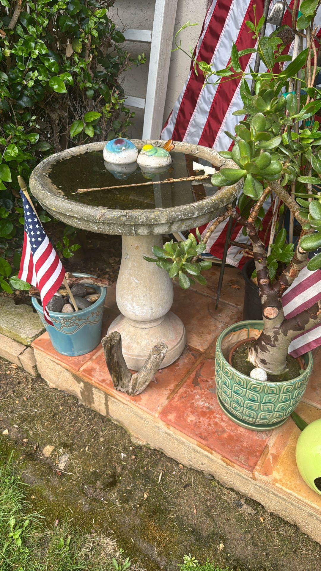 Bird Bath