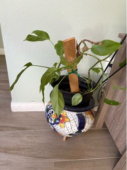 Painted pot for inside plants