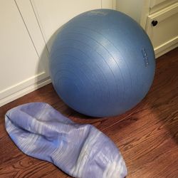 Set Of 2 Exercise Balls