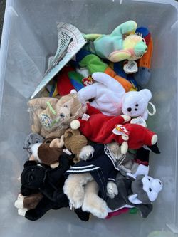 ~50 Beanie Babies