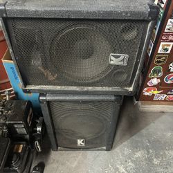 Kustom 10 Inch Stadium Concert Speakers Dj 