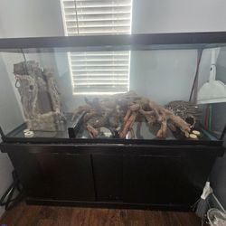 160 Gallon Reptile Tank