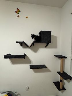 Cat wall shelves