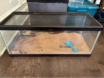 40 gal fish tank