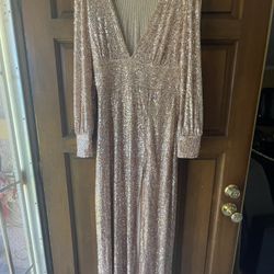 Windsor Long sleeve Blush Sparkly Dress (Large)