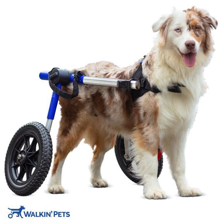 Like New Walkin’ Wheels MedLarge Dog Wheelchair